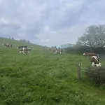 Farm stay Kapellenhof *