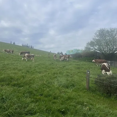 مزرعة للإقامة Kapellenhof *