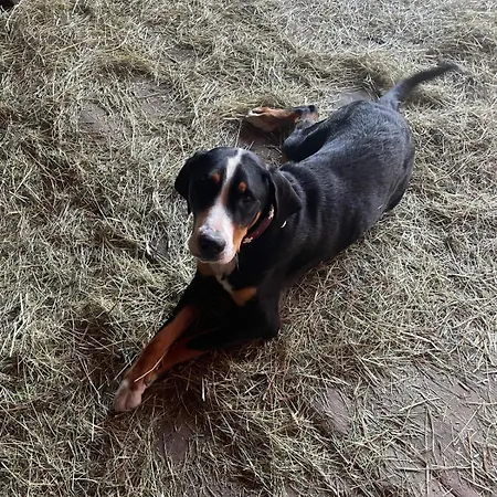 مزرعة للإقامة Kapellenhof تيبرغ